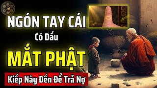 Details PEOPLE WITH THE BUDDHA'S EYE ON THEIR THUMBS - YOU CAME TO THIS LIFE TO REPAY DEBTS! | ANCIENT ... News