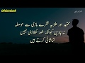 Tanqeed, Tanz, Zameer Zindagi, Ishq, Ana | Motivational Quotes And Inspirational Quotes