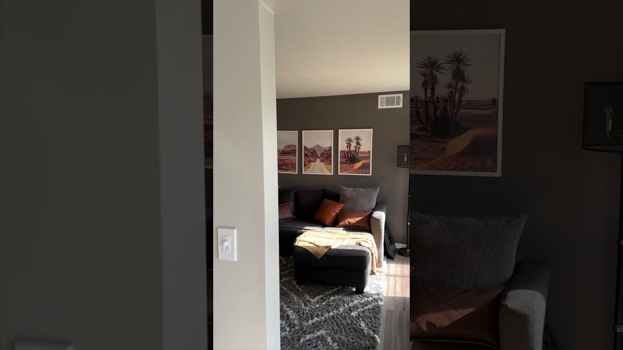 Men Living Room Ideas Apartments
