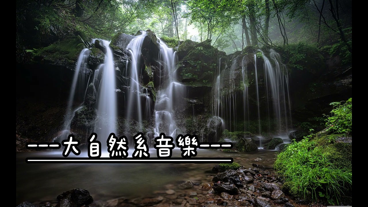 【無廣告】瀑布森林：水聲/鳥鳴/蟋蟀聲｜睡眠冥想與專注 [No Ads] Waterfall Forest: Nature Sounds for Sleep & Study