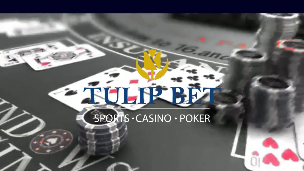 tulipbet Blackjack Casinosu