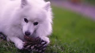 Employability in Games Event + Game Engine Series + More Updates! Wealth