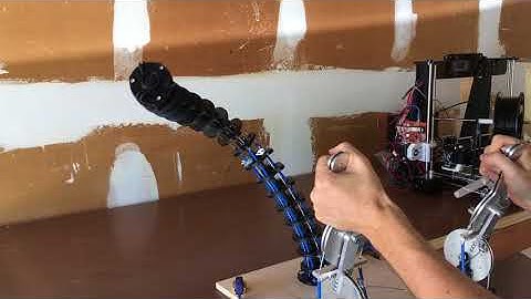 Entirely Mechanical Robotic Arm