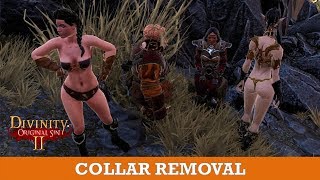 How to get collar removed (Divinity Original Sin 2)