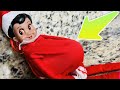 ELF IS PREGNANT WITH GLITTER BABY!