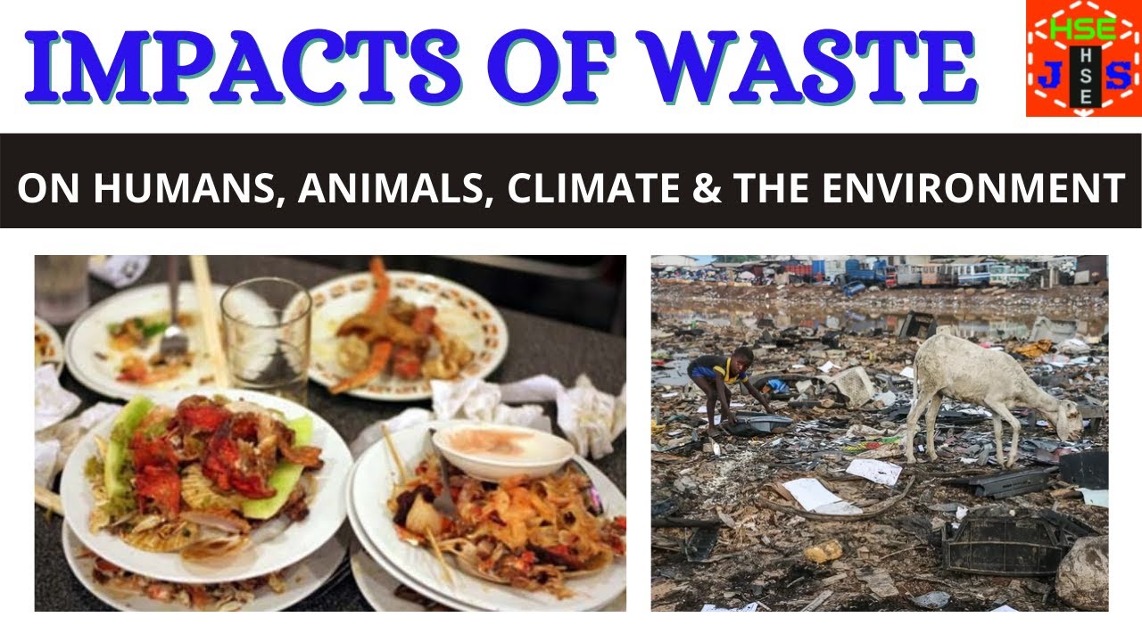 IMPACTS OF WASTE ON HUMANS, ANIMALS, CLIMATE AND THE ENVIRONMENT WHY