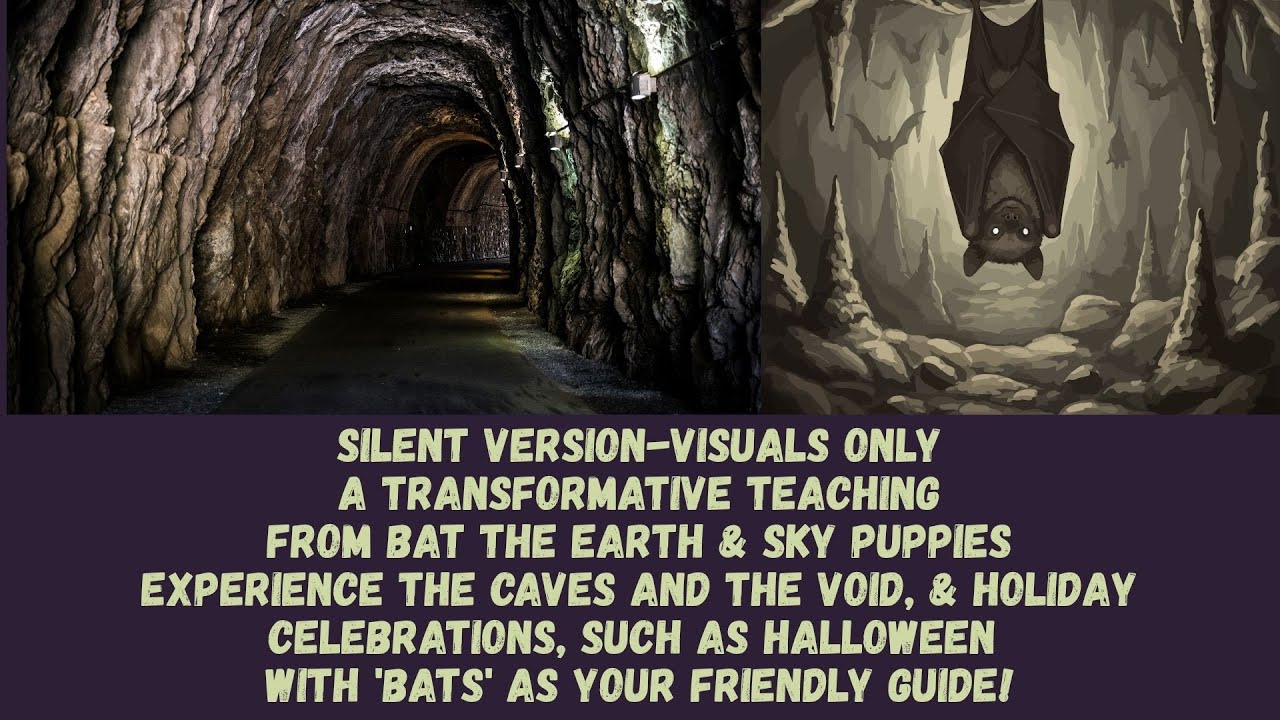 Teachings from Bat (Silent &Visual): Transform with Bat in the Void ...
