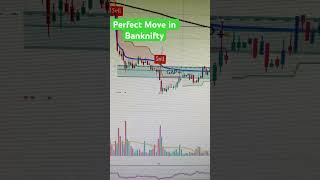 Algo trading with Just MSM indicator #stockmarket #niftyview #views #stockmarketindex #nifty#shorts