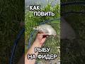 Советы по ловле рыбы на фидер: секреты успешной рыбалки 🎣