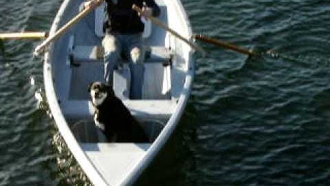 "Oblique" - Forward Rowing System