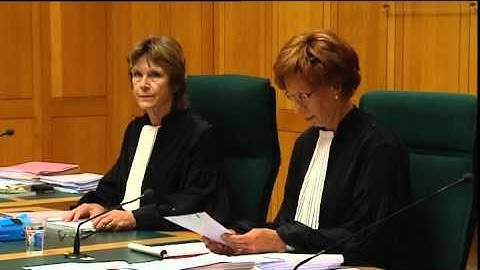 Jaar voorwaardelijke celstraf geëist tegen GHB-verslaafde die Camille Haans (15) in Grave doodreed