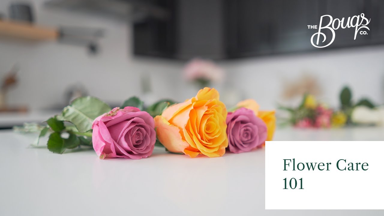 How To Keep Flowers Fresh: Tips For Storing | Bouqs Blog