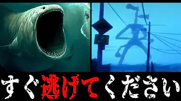 ｓｃｐサイレンへット
