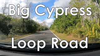 Big Cypress Loop Road Drive