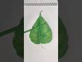 Sketch With Doms Colour Pencil🍂#PeepalLeaf🍃#realisticdrawing#viralsong#drawing#aestheticvideo🥀