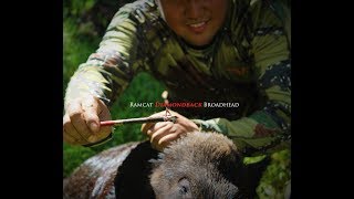 Ramcat  Diamondback  Broadhead accuracy test