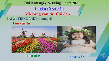 Luyện từ và câu lớp 4 - Tuần 22 - Mở rộng vốn từ: Cái đẹp