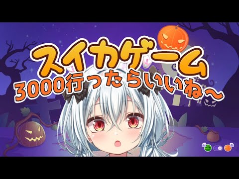 【スイカゲーム】かぼちゃ界のマダムこと月逆【VTuber】