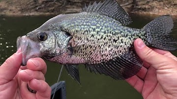 Post Spawn Crappie Fishing