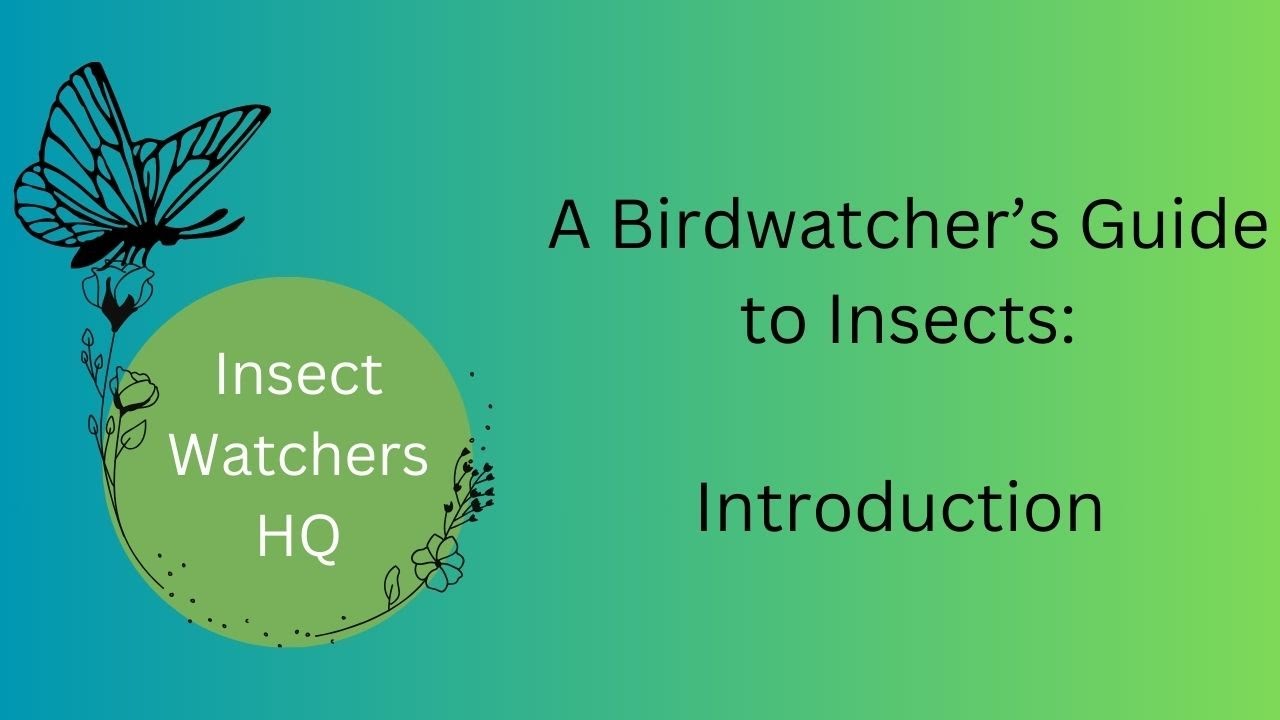 A Birdwatchers Guide to Insects: Introduction