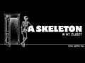 A Skeleton in my Closet - Script Pitch