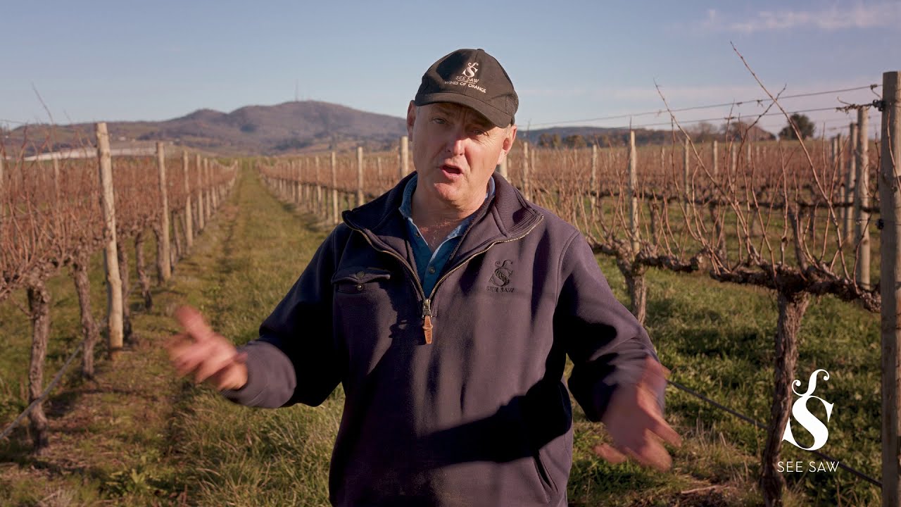 see-saw-wine-justin-chats-about-orange-nsw-youtube