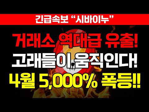 #시바이누 거래소 역대급 유출! 고래들이 움직인다! 4월 예정된 폭등!!