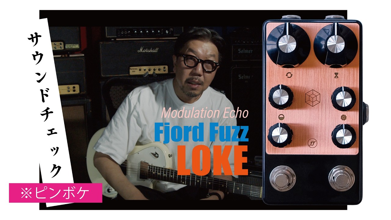 Fjord Fuzz LOKE Modulation Echo Machine - YouTube