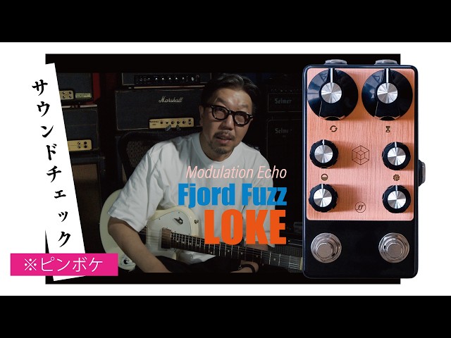 Fjord Fuzz LOKE Modulation Echo Machine - YouTube