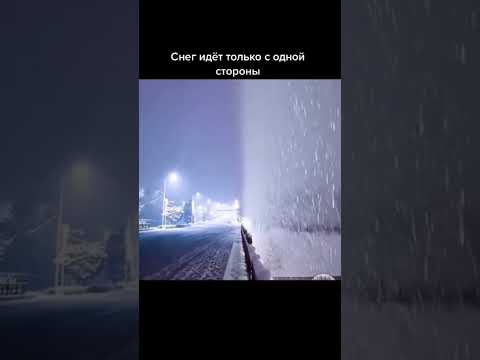 УЧЕНЫЕ НЕ МОГУТ