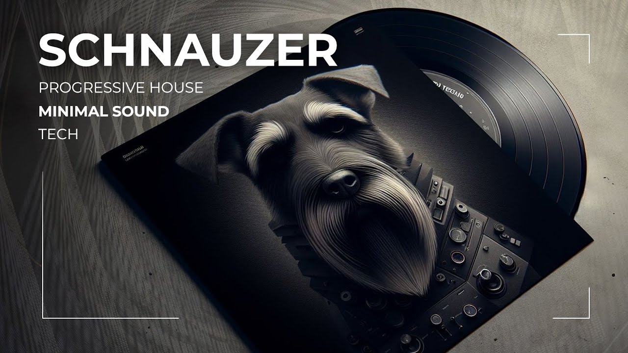 Schnauzer | Progressive House | Minimal | Tech