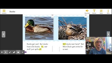 HMH Into Reading   Level K   M7W1 Start Right Reader  Ducks