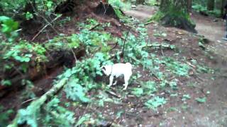 UBC Endowment Lands