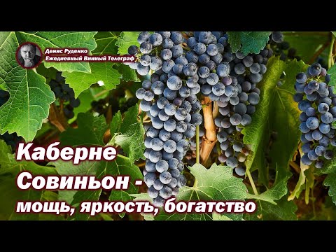 Каберне Совиньон - мощь, яркость, богатство