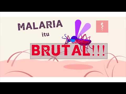 Begini Cara Penyakit Malaria Merusak Tubuh