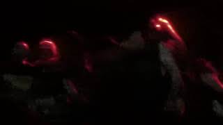 Pyrexia Live, Saint Vitus Bar 2019 (Video 2)