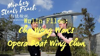 Rare Style Wing Chun: Red Boat Opera (Ban Chung) - Martial Arts of Singapore ep2 - YouTube