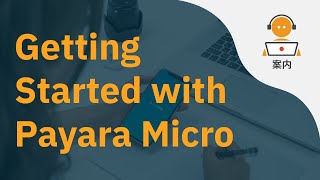 Getting Started with Payara Micro (Japanese)