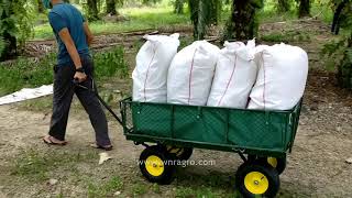 Wagon Cart Wheelbarrow Garden Kereta Sorong Troli