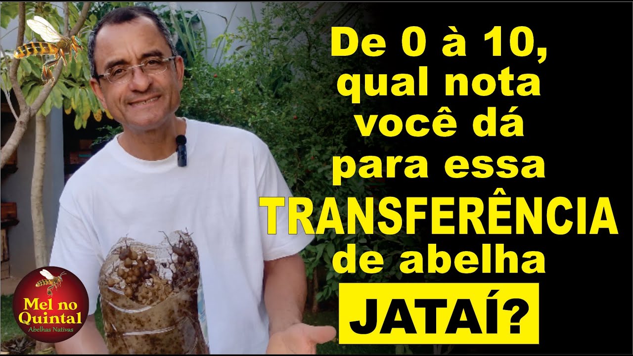 JATAÍ, o melhor passo a passo de transferência!