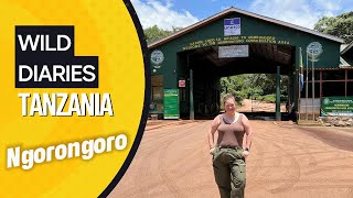 We got so lucky in Ngorongoro Crater!