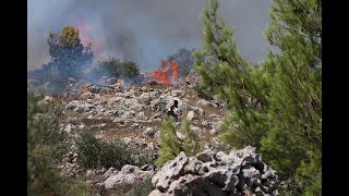 URGENT: Press Congress to stop Yitzar Settlers — Keep Olive Harvest Safe 10/7