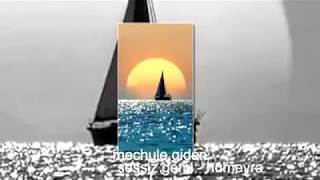 Sessi̇z Gemi̇ (Meçhule Gi̇den Bi̇r Gemi̇)