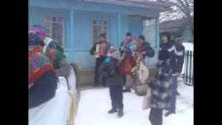 malanca din Cristesti