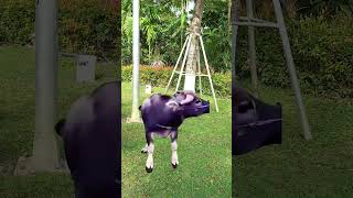 Me At Work Be Like 🤣💻