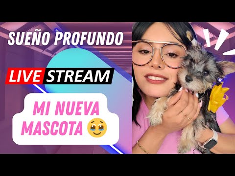 🎙 LIVE con Ges 😍 Invitado Sorpresa 😮 I Ges ASMR