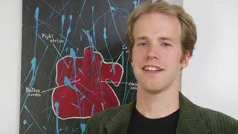 What Does Gadolinium Look Like?