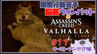 【脳筋アサクリ１１】ASSASSINS CREED VALHALLA 【#こむらいぶ】