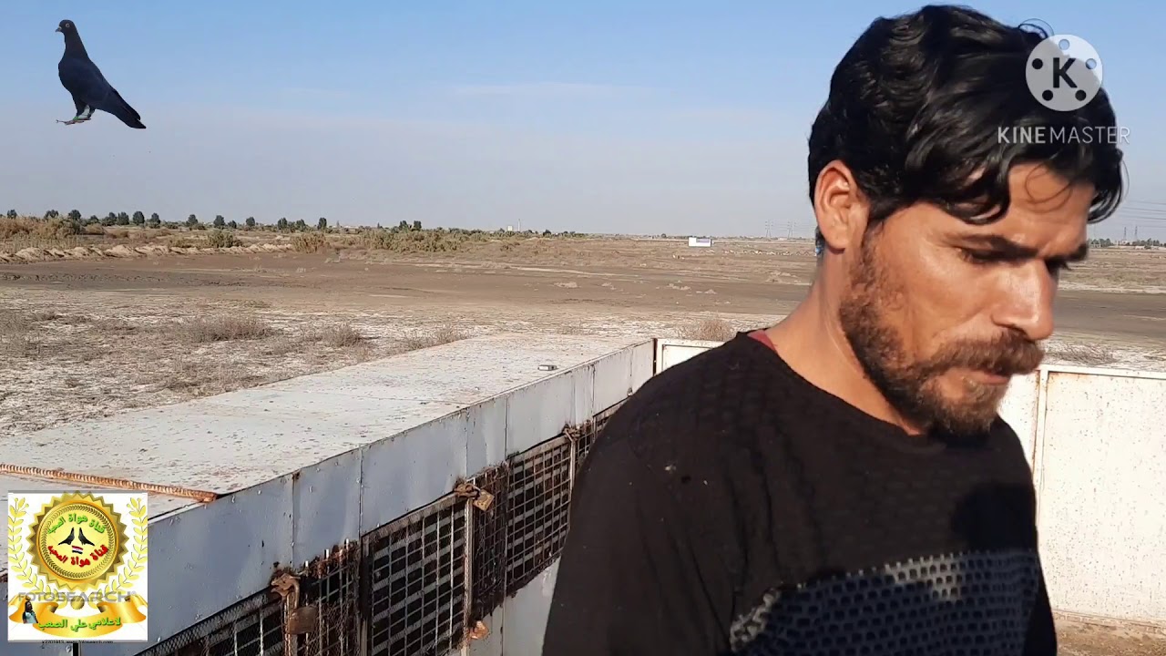 لقاء قناة هواة المحبه مع النجم وسام الحمداني