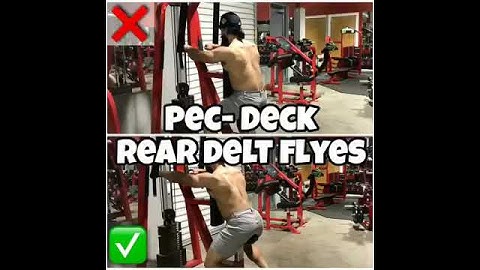 VitalDynamics Fitness - Peck Deck Rear Delt Flyes - Fitness_IQ